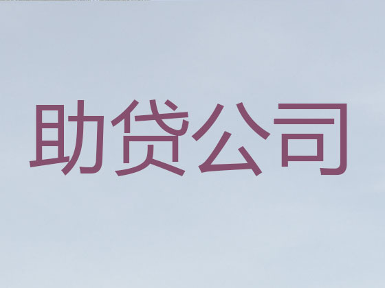新沂抵押贷款公司-银行信用贷款